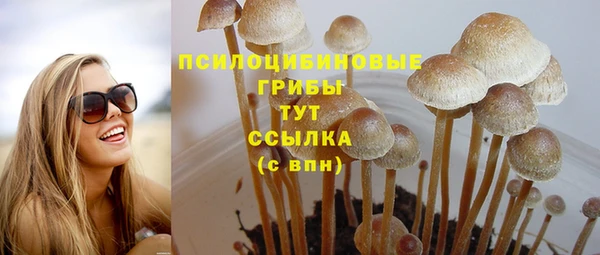 ECSTASY Волосово