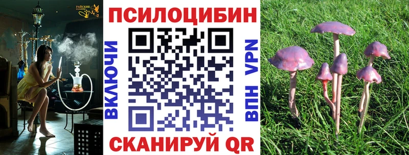 ОМГ ОМГ сайт  Островной  Галлюциногенные грибы ЛСД  закладка 